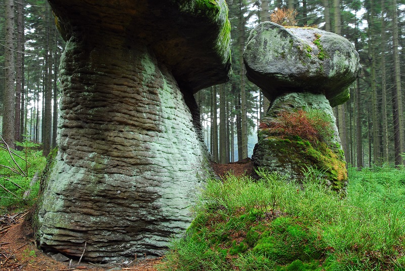 Góry Stołowe - 1 dzień