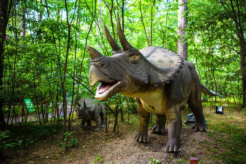Praskie Atrakcje z ZOO  wycieczka klasowa jednodniowa 