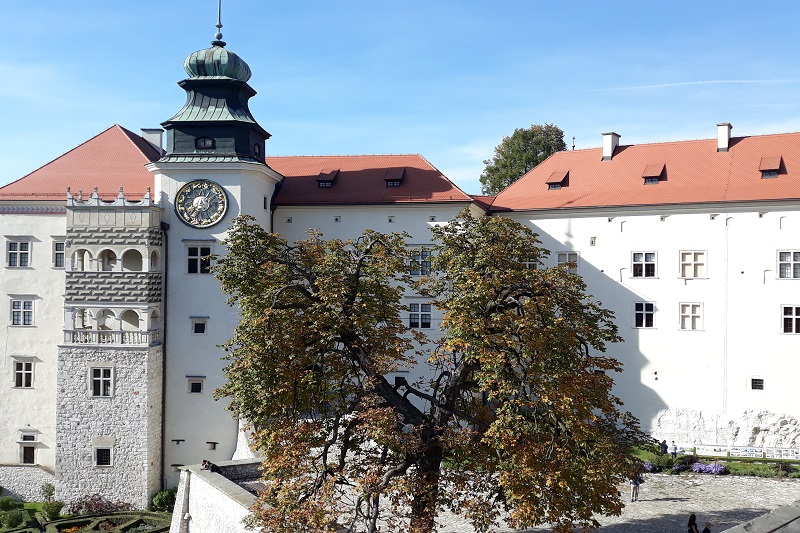 Szlak Orlich Gniazd - część południowa  -  wycieczka klasowa  jednodniowa 
