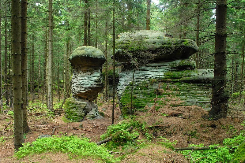 Atrakcje Ziemi Kłodzkiej z wyjściem w góry  -  wycieczka klasowa 3 dniowa