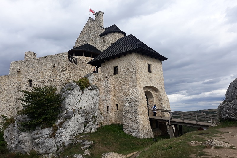 Szlak Orlich Gniazd - część północna  -  wycieczka klasowa 1 dniowa 