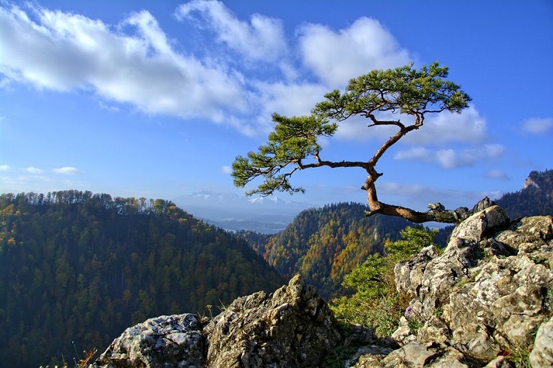 Pieniny w trzy dni - trzydniowa wycieczka dla nauczycieli 