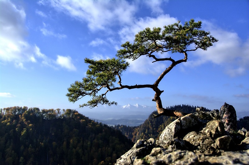 Pieniny w trzy dni - trzydniowa wycieczka dla nauczycieli 