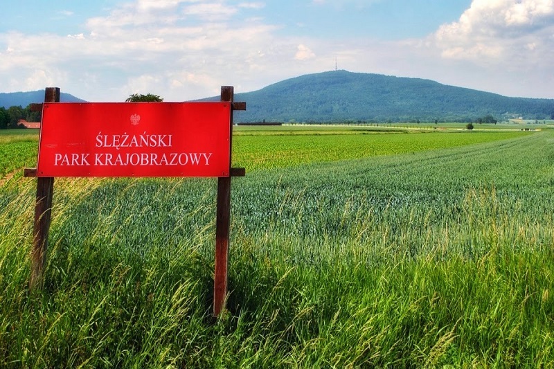 Lekcja geografii na szczycie góry Ślęża - wycieczka klasowa jednodniowa 