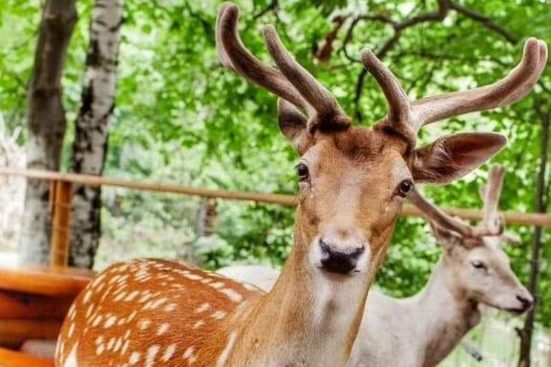 Atrakcje Beskidu - wycieczka klasowa trzydniowa